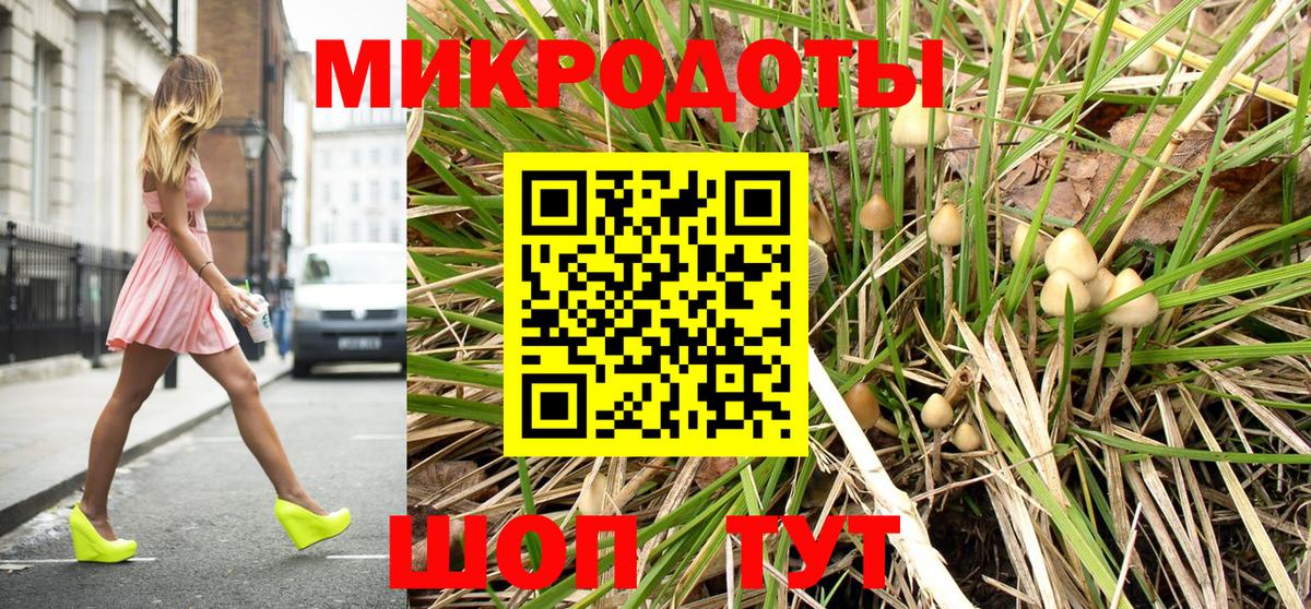 Галлюциногенные грибы прущие грибы  Галлюциногенные грибы Psilocybe  Вход с VPN  Киселёвск 