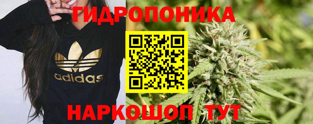 Бошки марихуана VHQ Киселёвск